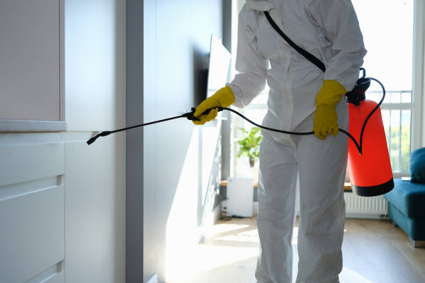 Best Mold Testing  in Dalton, GA