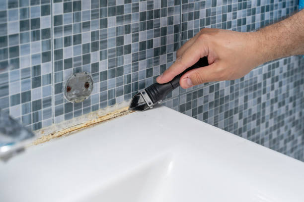 Best Professional Mold Removal  in Dalton, GA