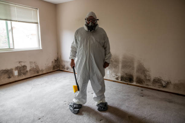 Best Crawl Space Mold Removal  in Dalton, GA